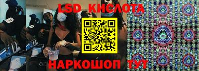 прущие грибы Новокубанск