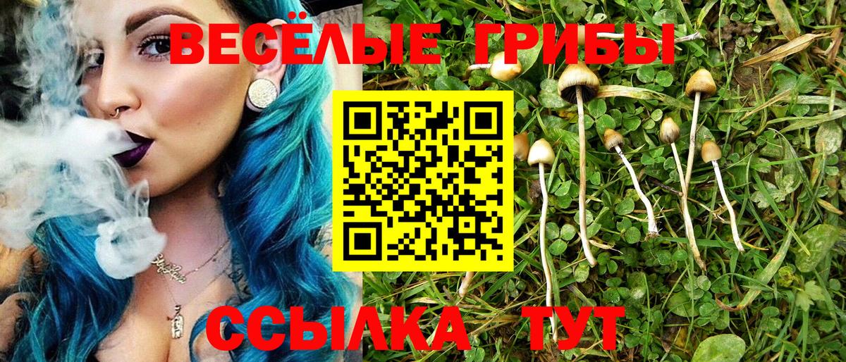 Галлюциногенные грибы Psilocybine cubensis Тосно